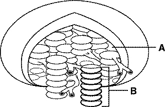 chapter_8_review_files/i0340000.jpg
