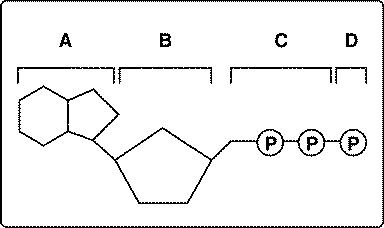 chapter_8_review_files/i0370000.jpg